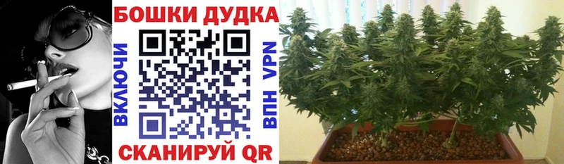 Как найти наркотики Лодейное Поле А ПВП mega ONION ГАШ COCAIN Меф
