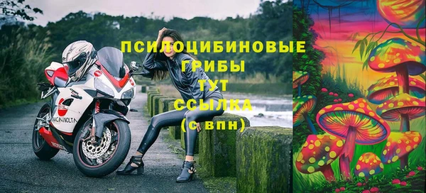 дурь Алзамай