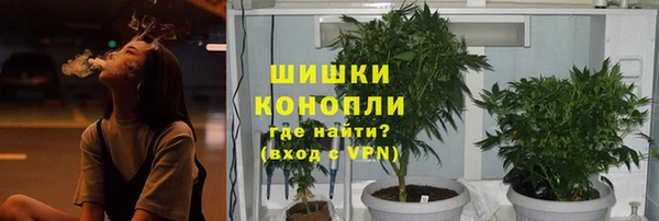 дурь Алзамай