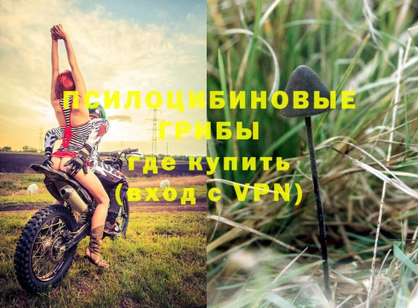 дурь Алзамай