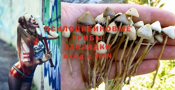 синтетический гашиш Алексеевка