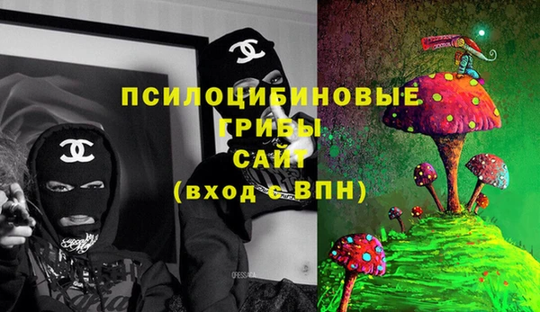 дурь Алзамай