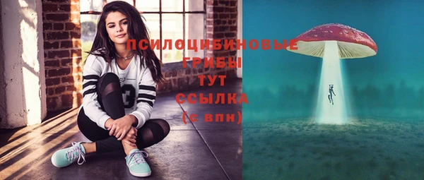 ПСИЛОЦИБИНОВЫЕ ГРИБЫ Алексин